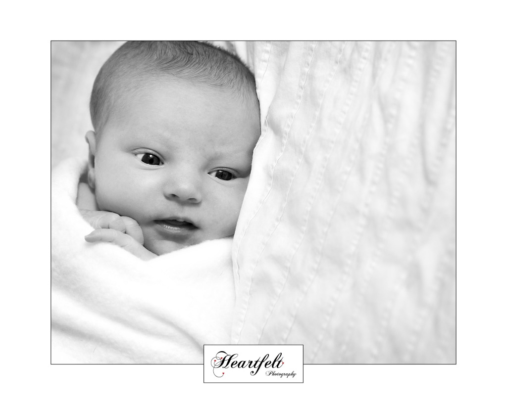 newborn baby photographers dartford kent